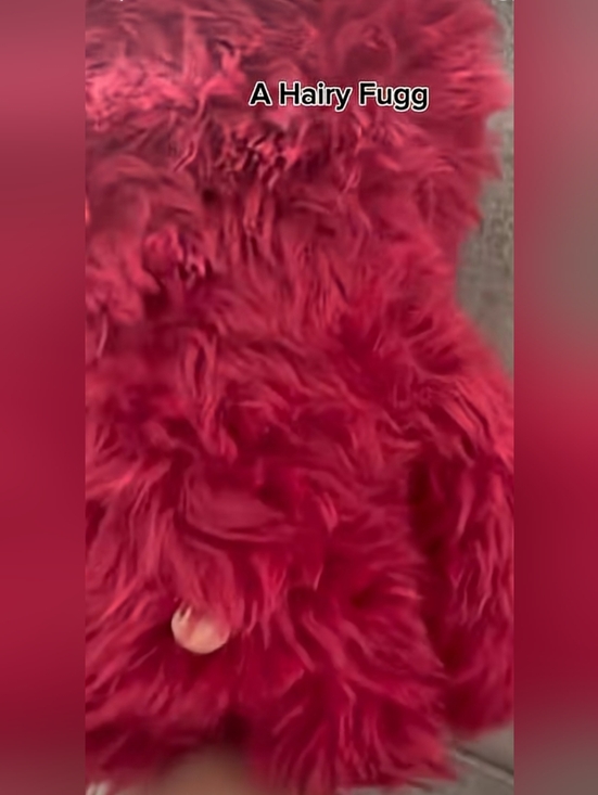 Fuggler Hairy Fuggs Red Plush Monster Toy - Picture 6 of 6